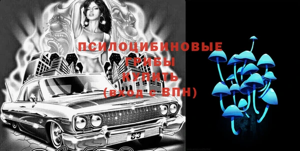 шишки Алексин