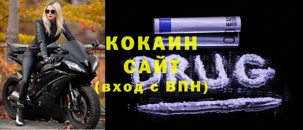 шишки Алексин