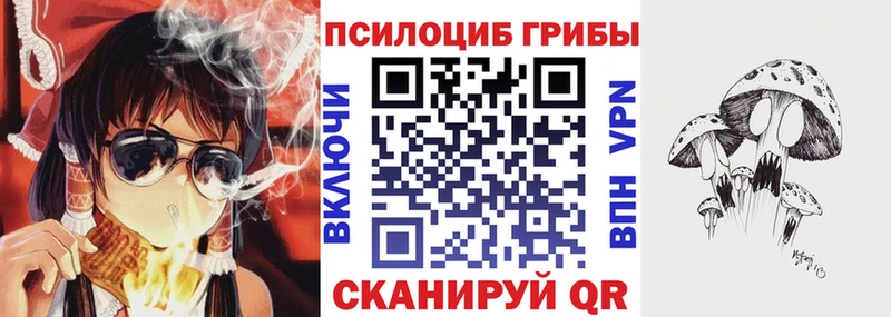 Галлюциногенные грибы прущие грибы  Котельнич 